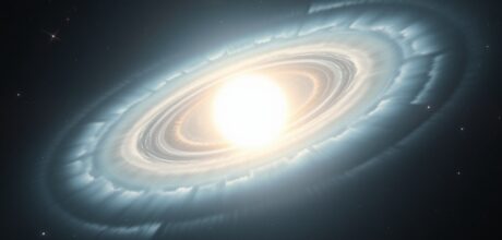 The Fate of White Dwarf Stars: A Deep Dive