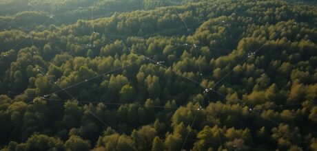 Exploring Smart Dust Sensor Networks: A Comprehensive Guide
