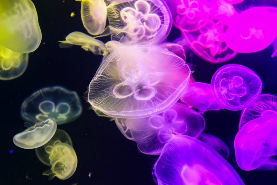 Bioluminescent Technology: A Natural Lighting Revolution