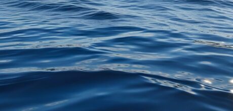 The Ocean Pollution Plastic Crisis: A Growing Concern