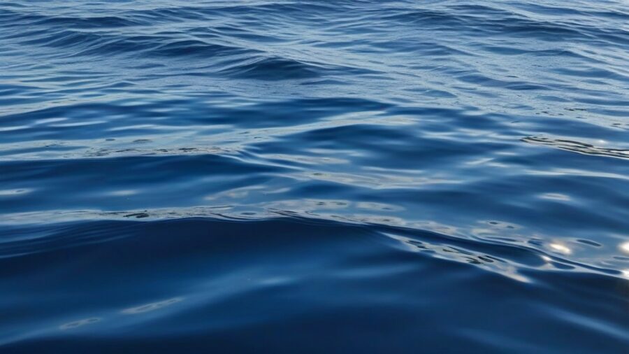 The Ocean Pollution Plastic Crisis: A Growing Concern